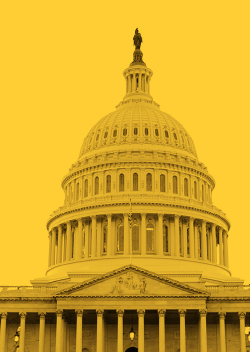 Capitol_crop_smaller
